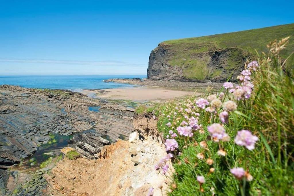 Kallowen Cottage At Crackington Haven, Near Bude And Boscastle, Cornwall Exterior photo